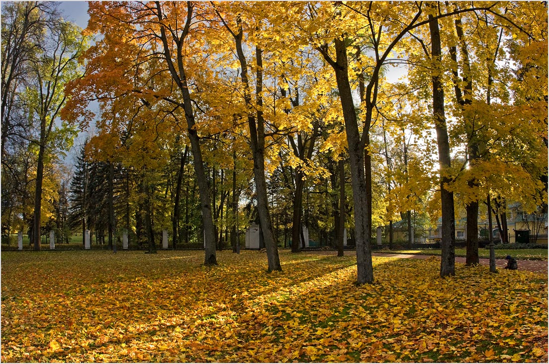 фото "Золотая осень" метки: пейзаж, осень