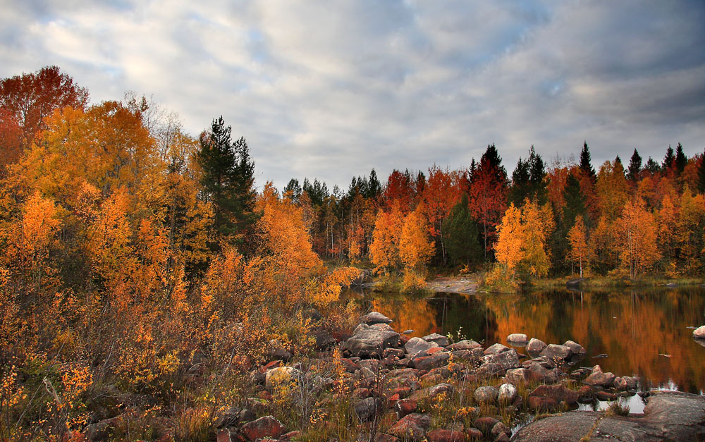 photo "***" tags: landscape, autumn