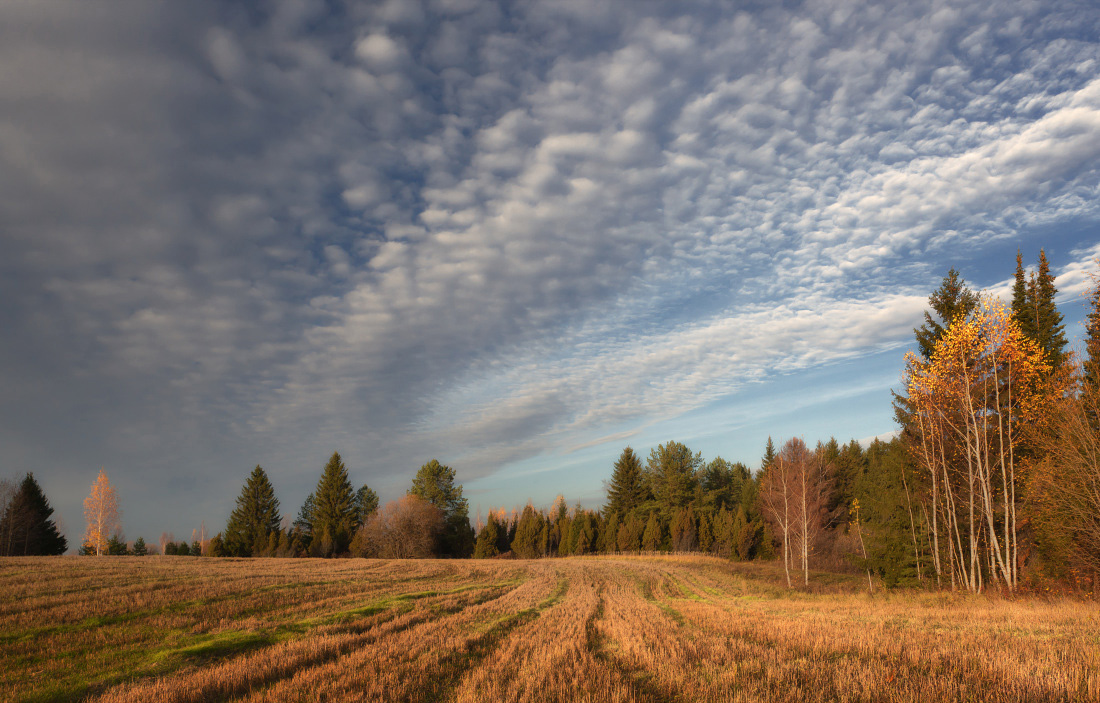 photo "***" tags: landscape, autumn