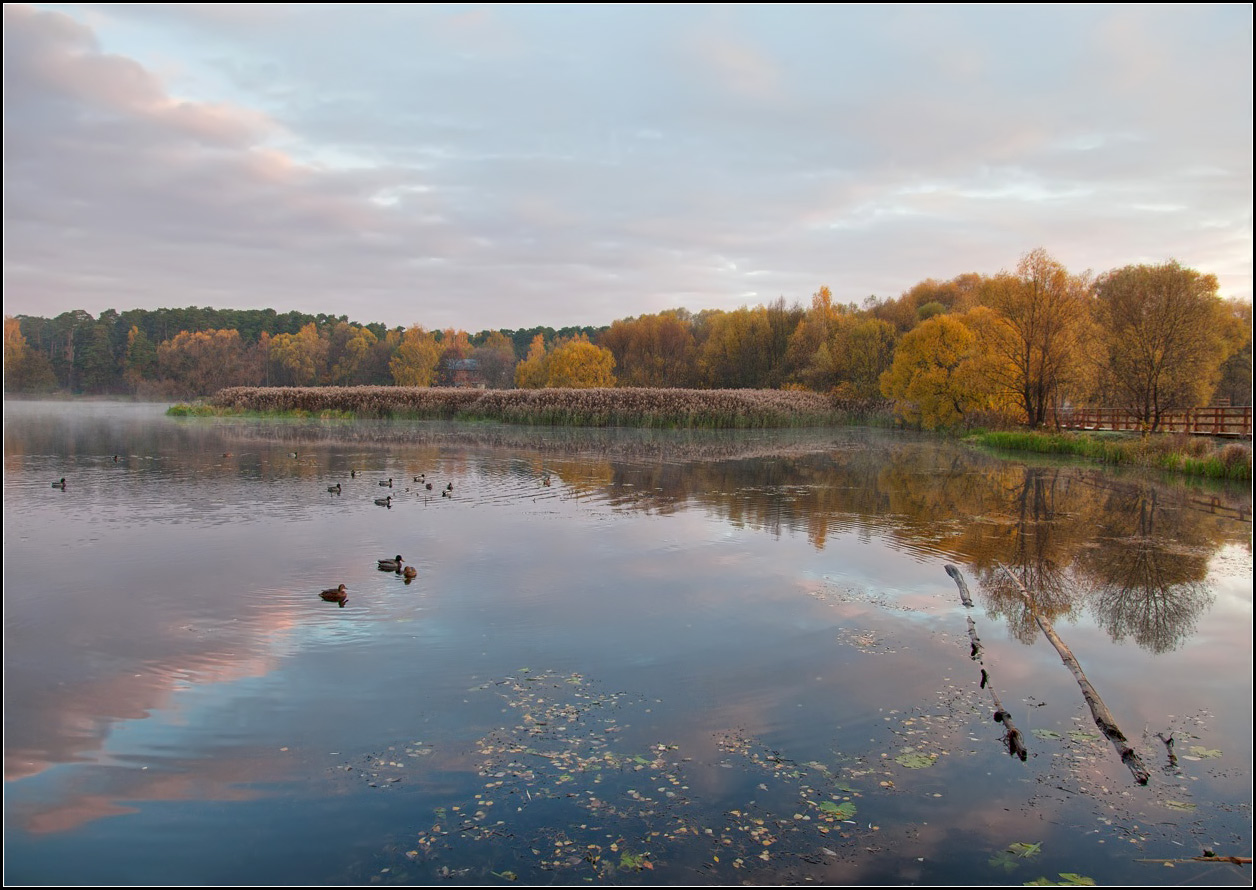 фото "осеннее утро" метки: пейзаж, вода, осень