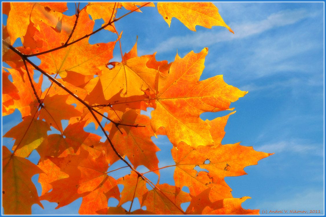 photo "Colors of the fall" tags: landscape, nature, Harriman State Park, autumn, foliage