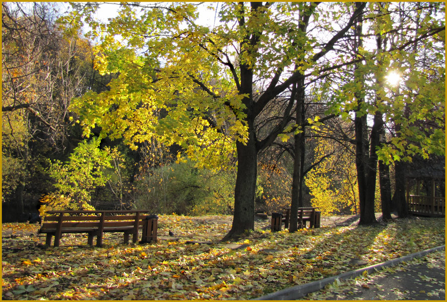 photo "***" tags: landscape, autumn