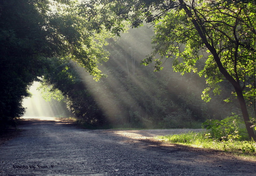 photo "Crossroads" tags: , 