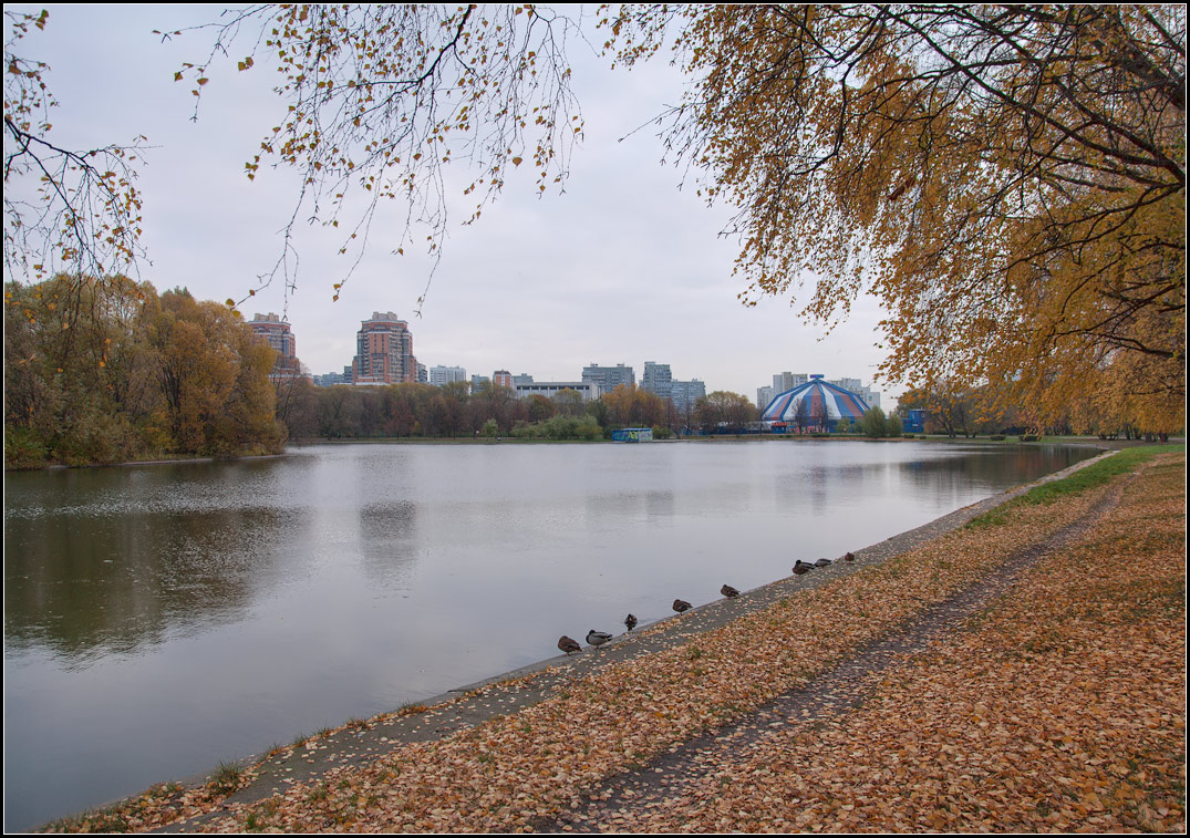 фото "осень, ветер, холодно..." метки: пейзаж, город, осень