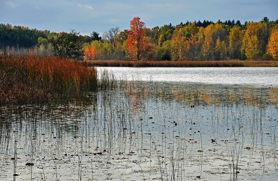 photo "***" tags: landscape, autumn