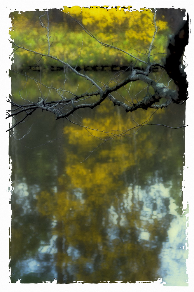 photo "***" tags: landscape, autumn, forest