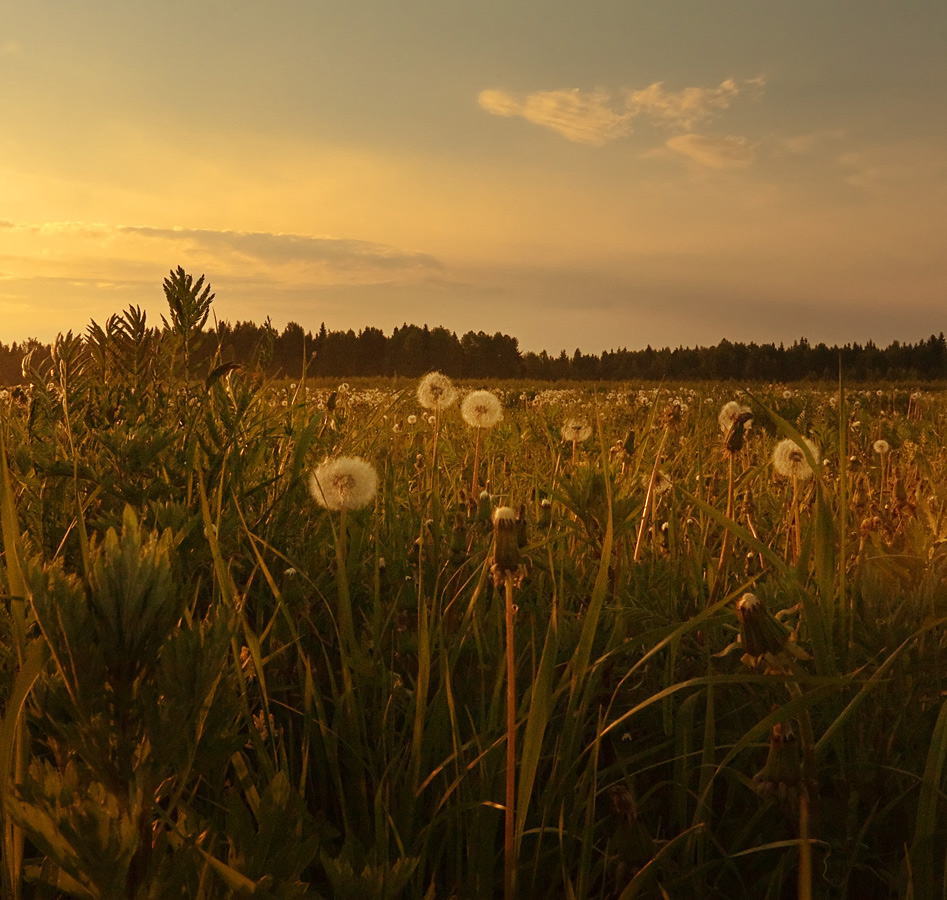 photo "***" tags: landscape, sunset