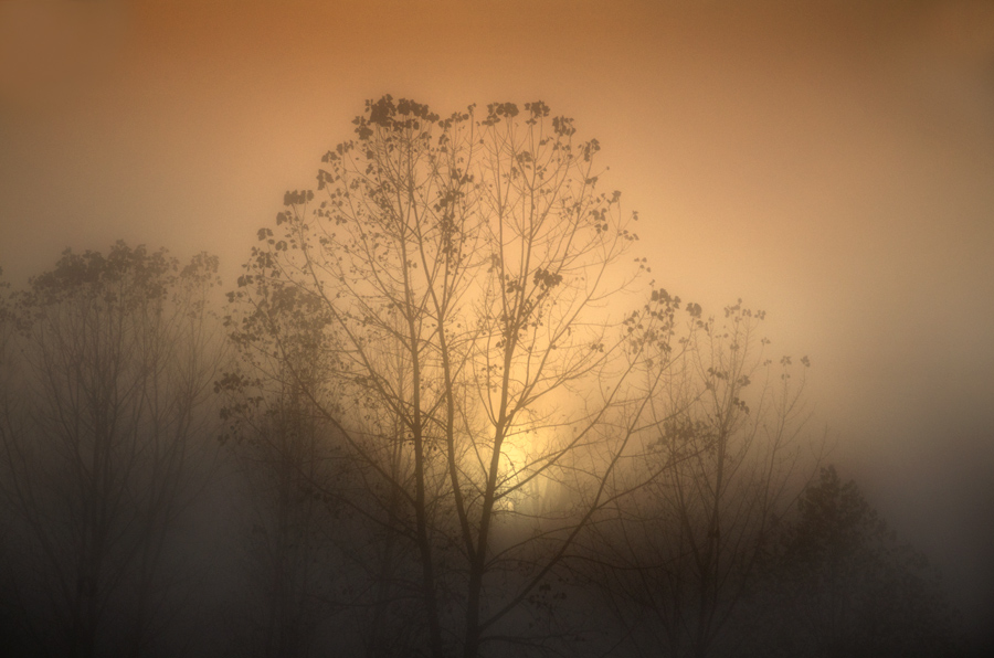 photo "Morning Mist" tags: landscape, autumn