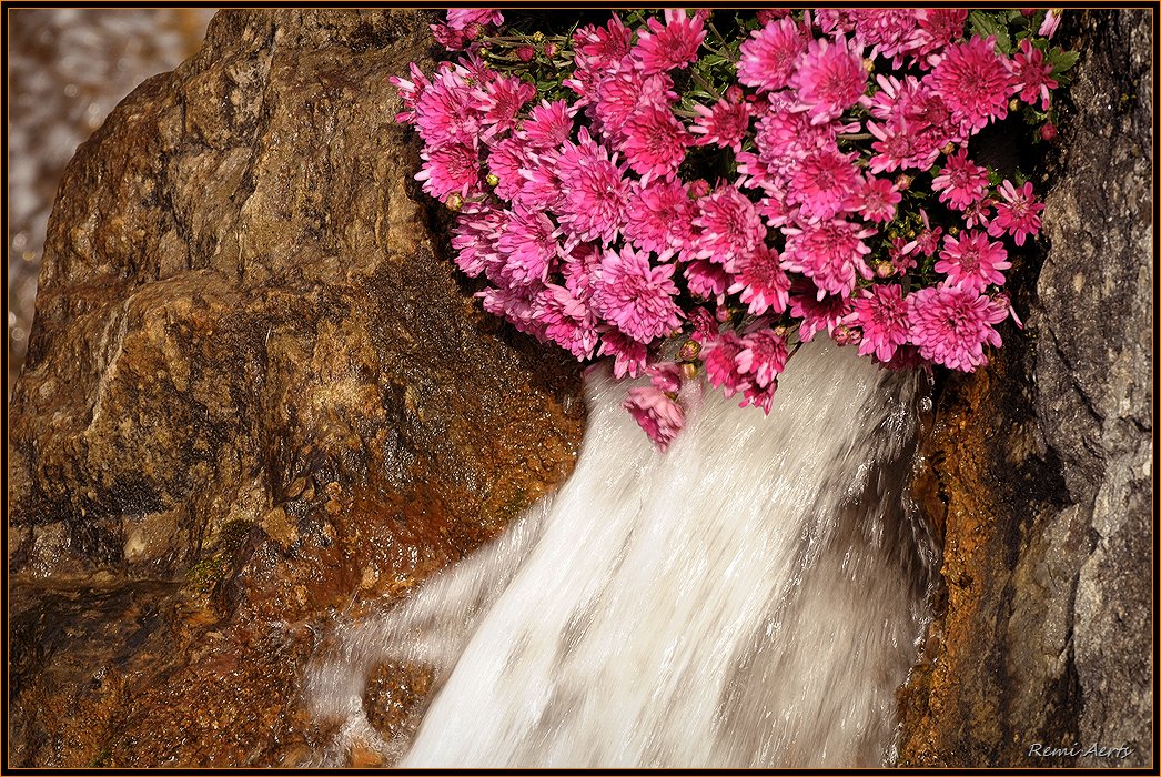 photo "waterfall" tags: landscape, nature, flowers, water