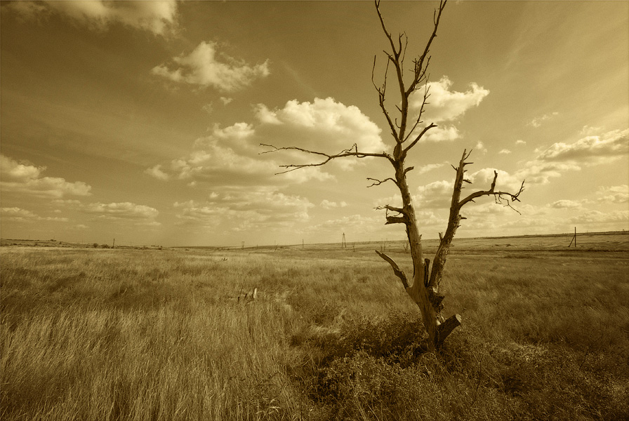 photo "калмыцкая степь" tags: landscape, autumn, clouds