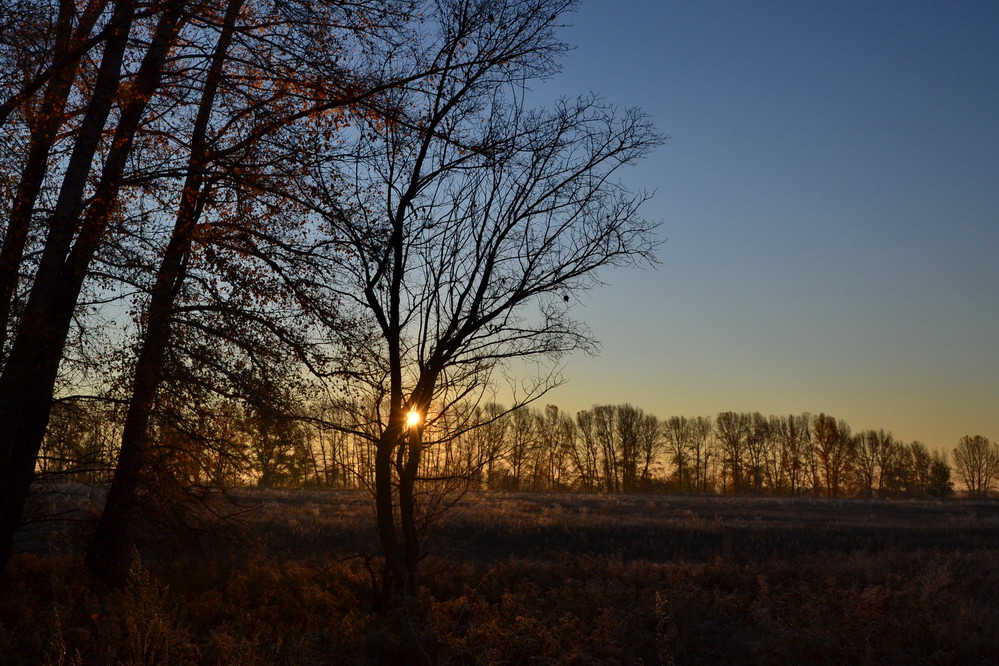 фото "Осеннее утро в Оренбуржье." метки: пейзаж, закат, осень