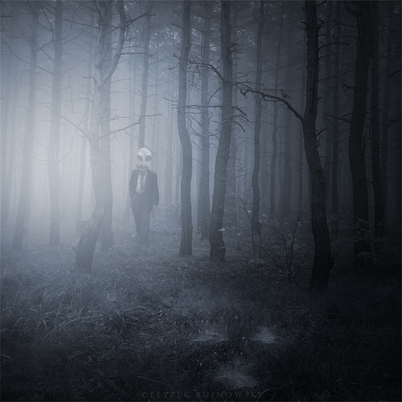 Dreaming forest. красивый лес. энчантед форест. Dreaming forest. земля в лесу.