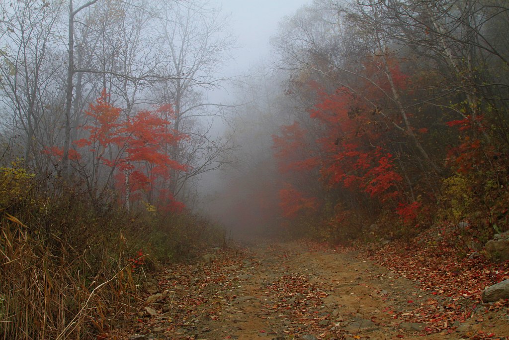 photo "***" tags: landscape, autumn