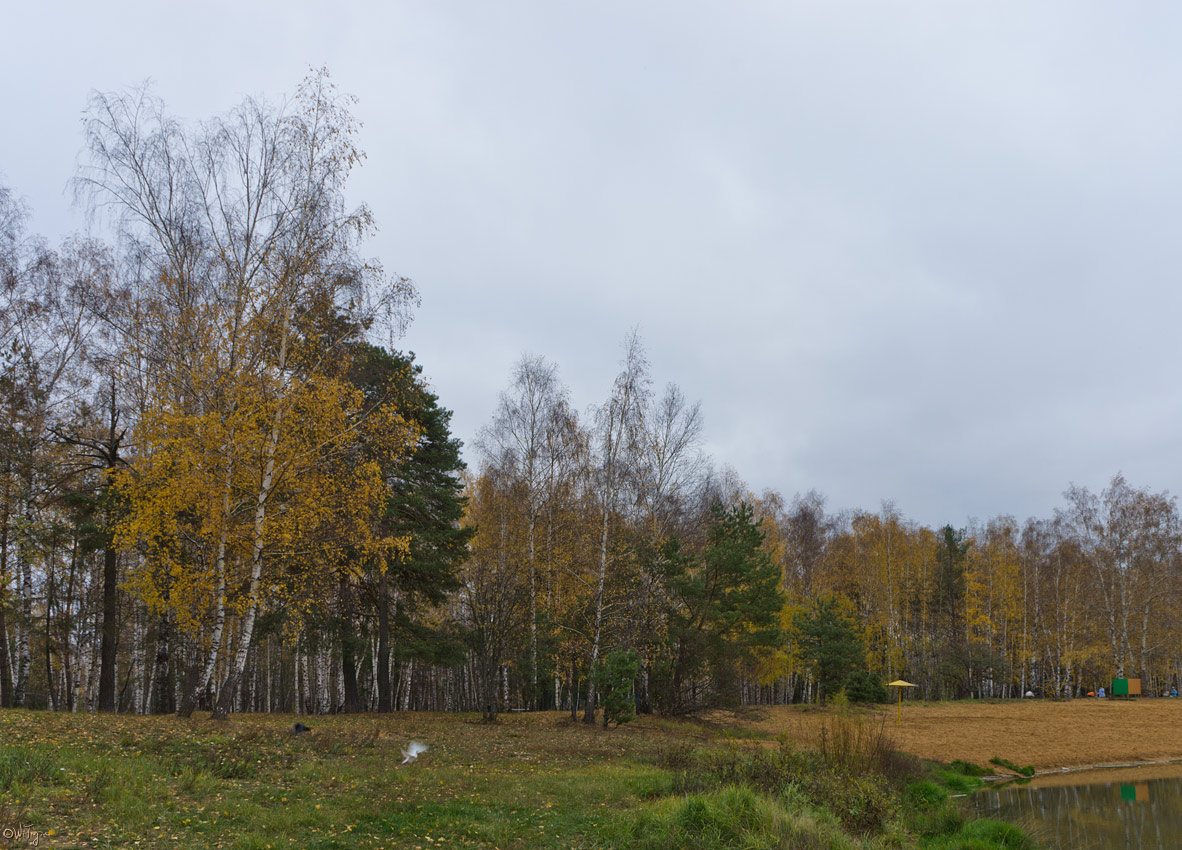 photo "sad Autumn" tags: landscape, autumn, forest