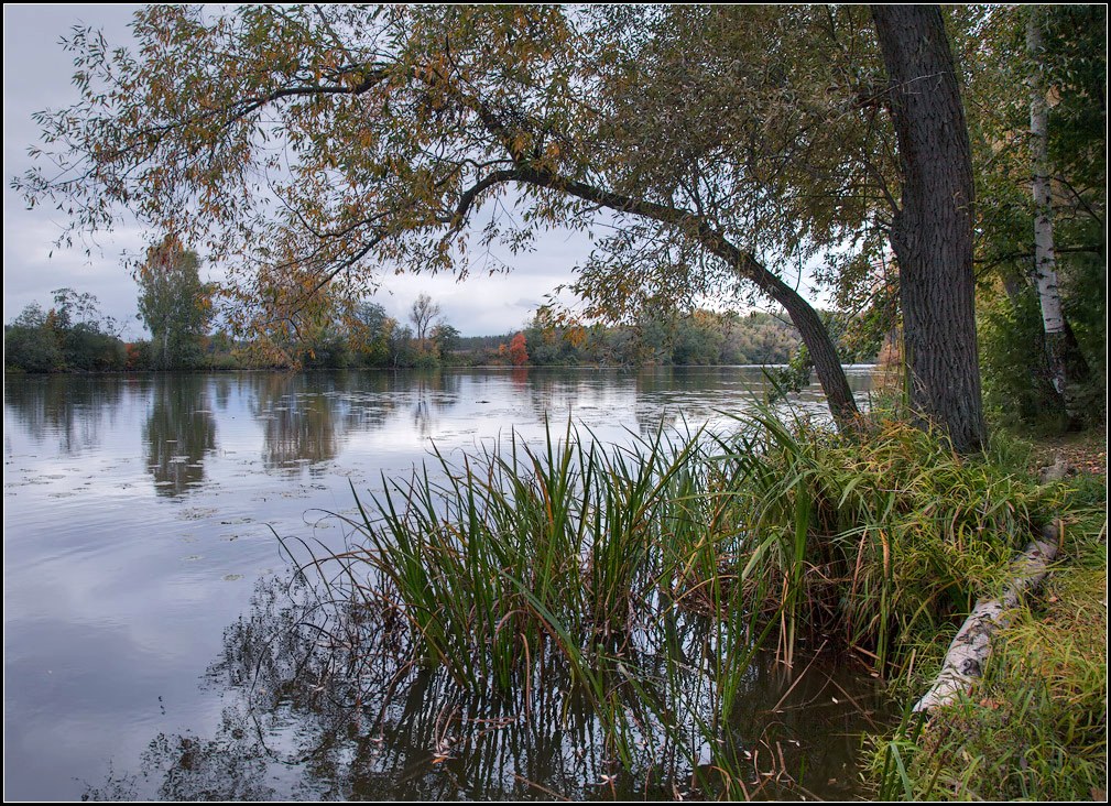 фото "осенняя река" метки: пейзаж, вода, осень