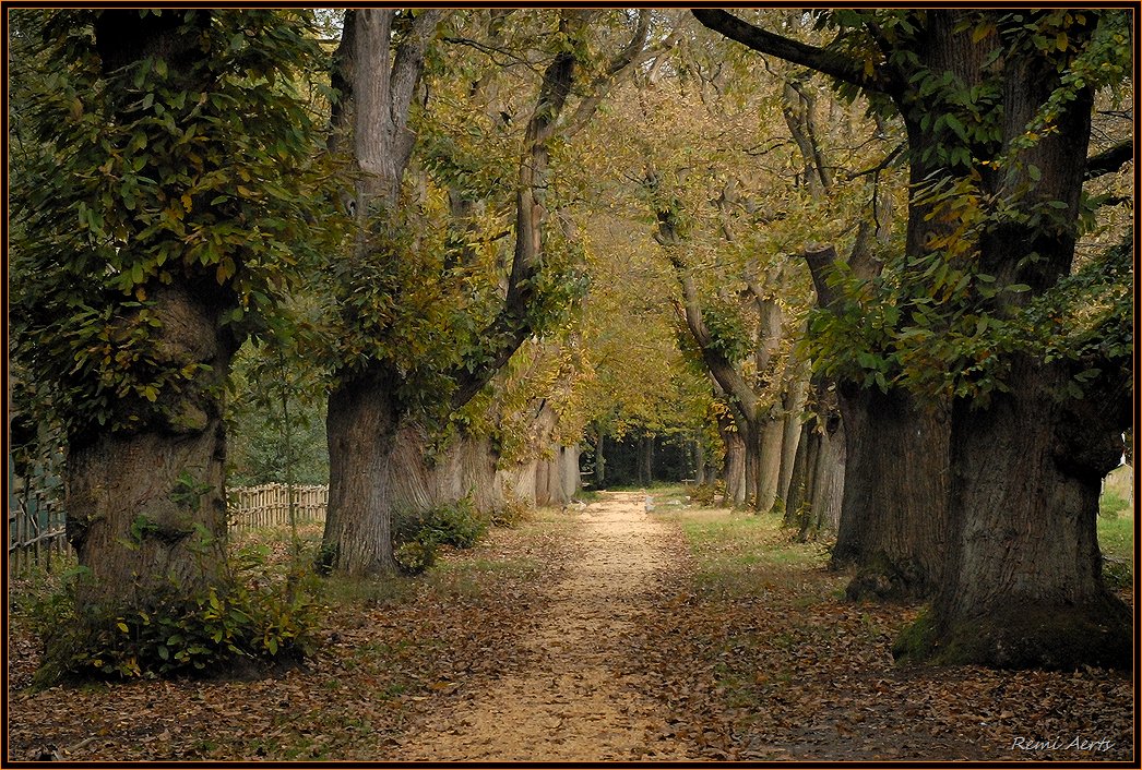 photo "do you walk ?" tags: landscape, autumn