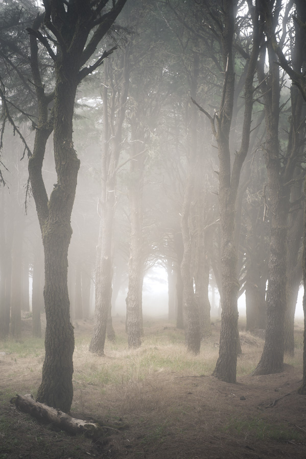 photo "***" tags: landscape, travel, Europe, forest