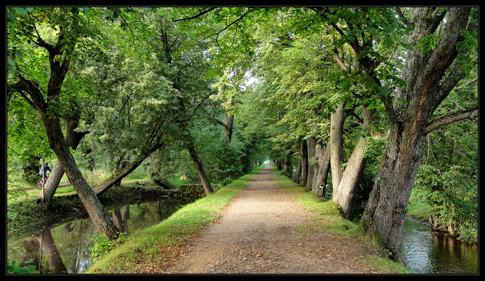 photo "***" tags: landscape, autumn