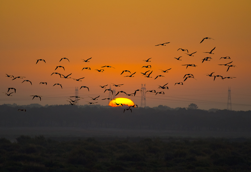 фото "SUNRISE" метки: пейзаж, панорама, закат