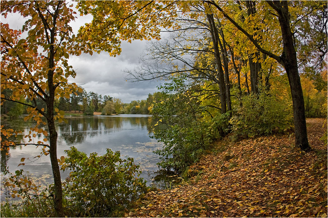 photo "***" tags: landscape, autumn