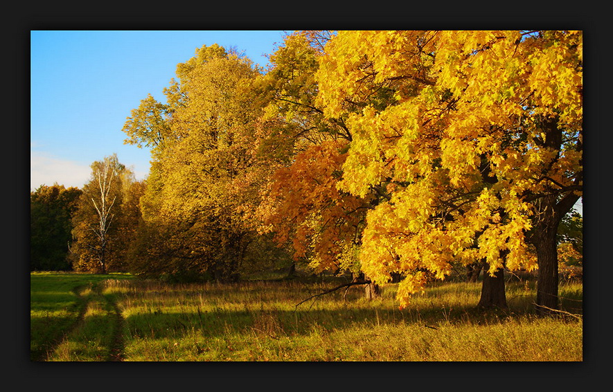 photo "***" tags: landscape, autumn