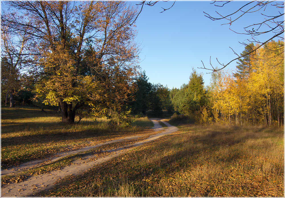 photo "***" tags: landscape, autumn