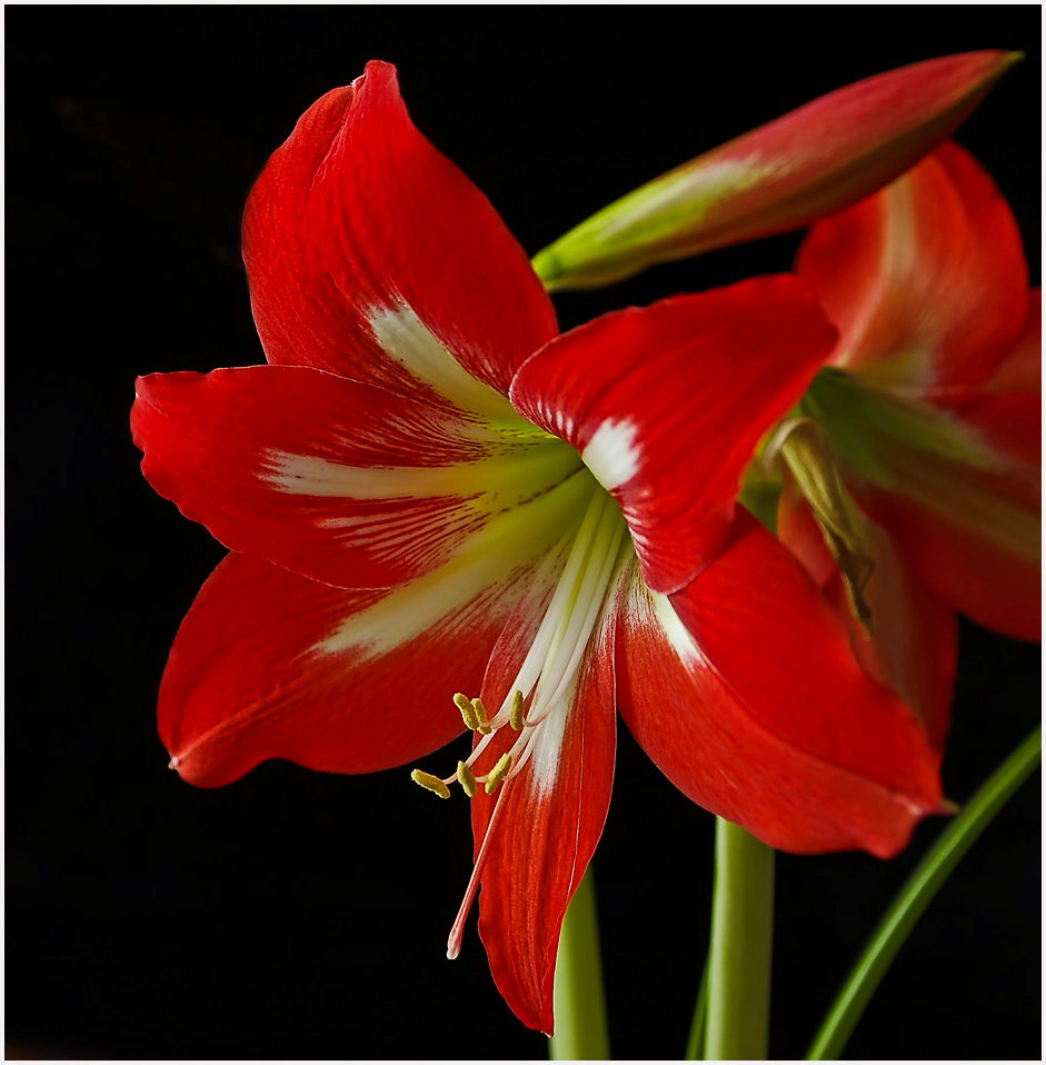 photo "***" tags: still life, 