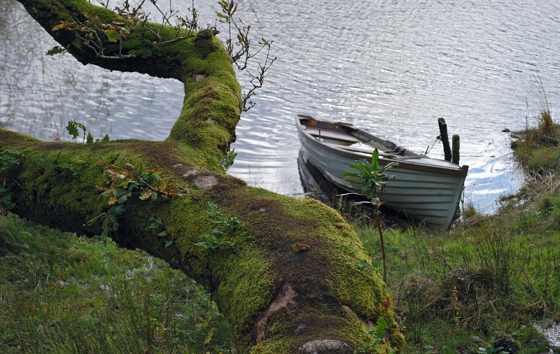 photo "==-" tags: landscape, autumn, water