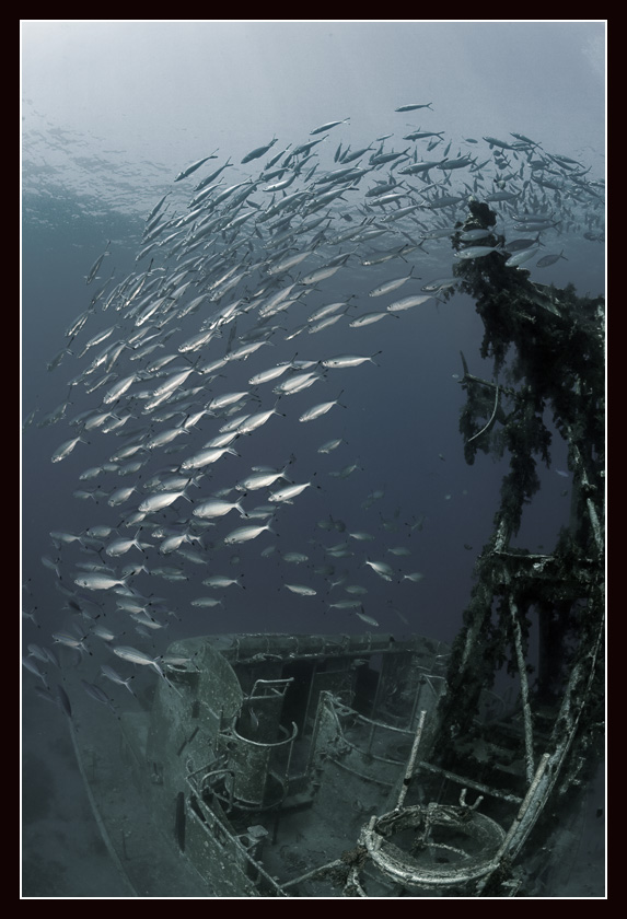 фото "Сатиль" метки: подводные, 