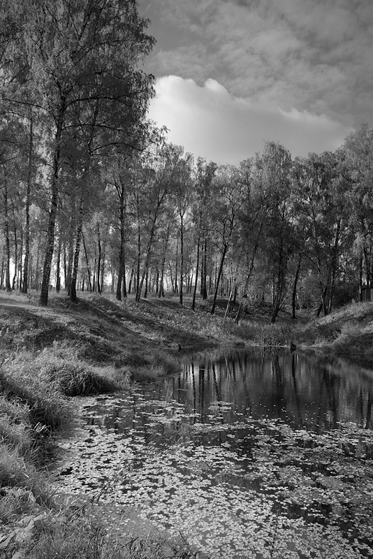 photo "***" tags: landscape, city, autumn