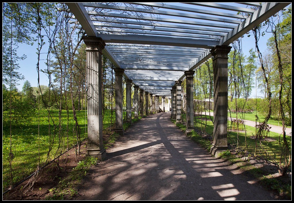 photo "pergola" tags: architecture, landscape, spring