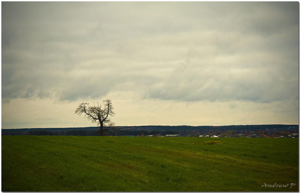 photo "***" tags: landscape, autumn