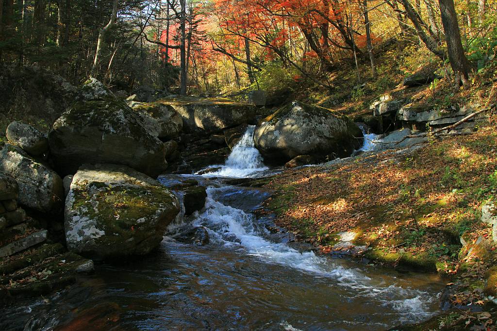 photo "***" tags: landscape, autumn