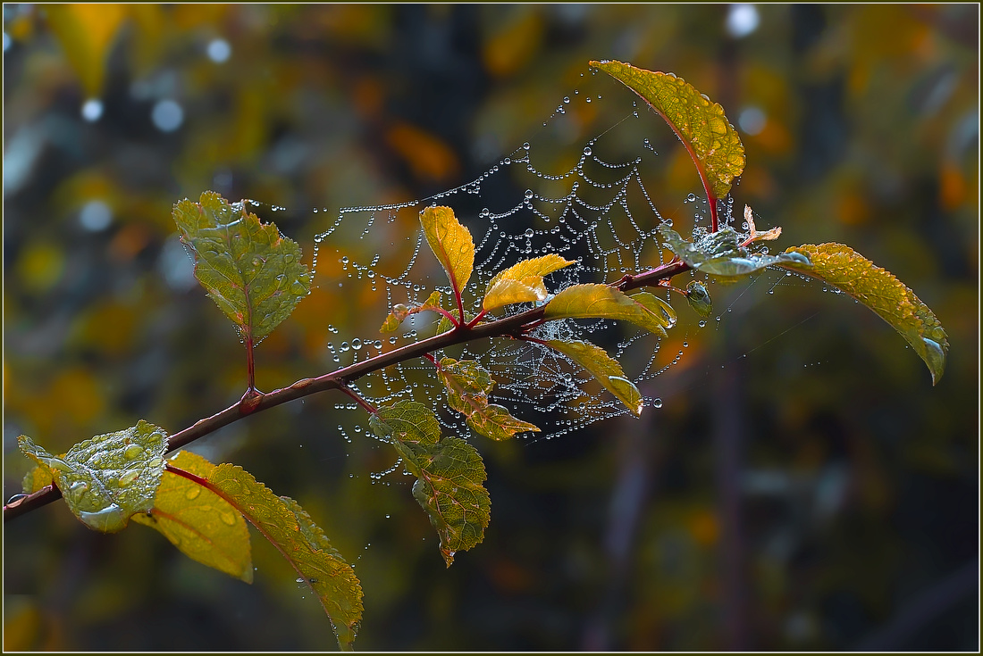 фото "***" метки: фрагмент, 