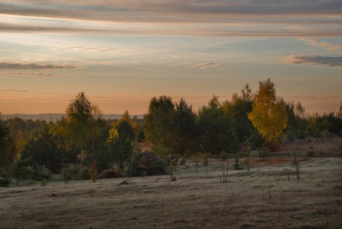 photo "Pink frost" tags: landscape, autumn