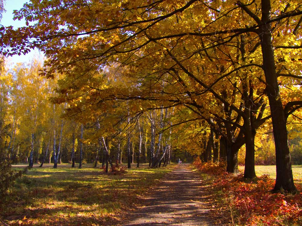 photo "***" tags: landscape, autumn