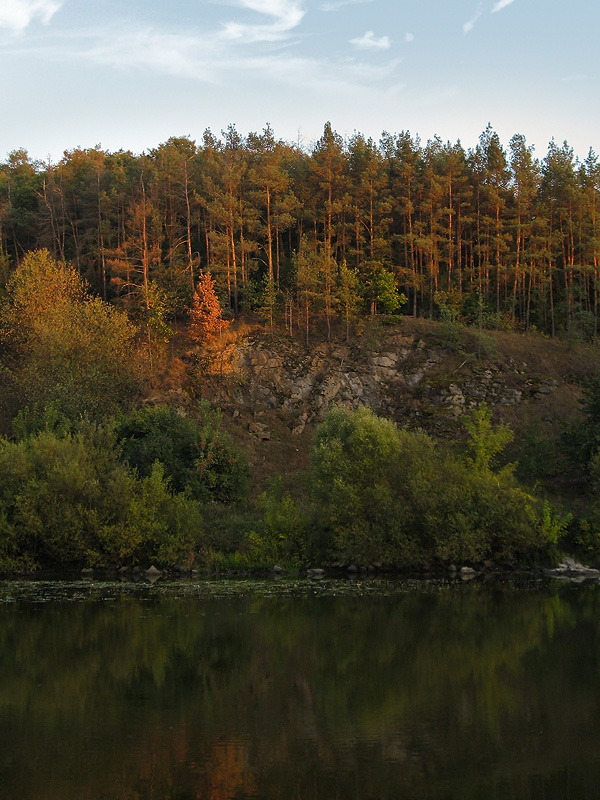 photo "***" tags: landscape, autumn, forest