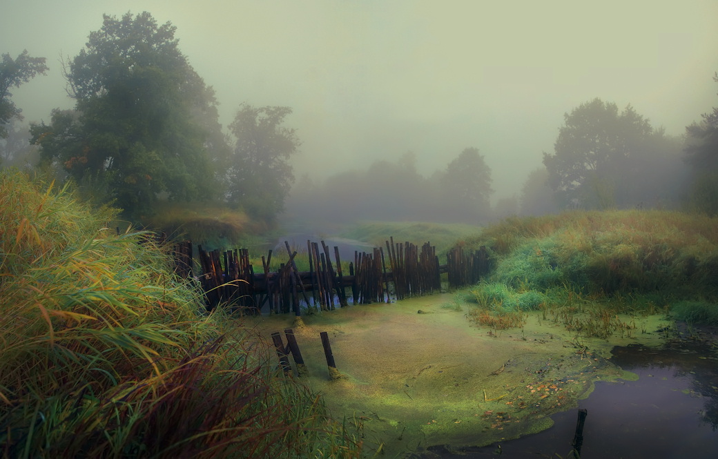 photo "осень, речка, туман" tags: landscape, autumn