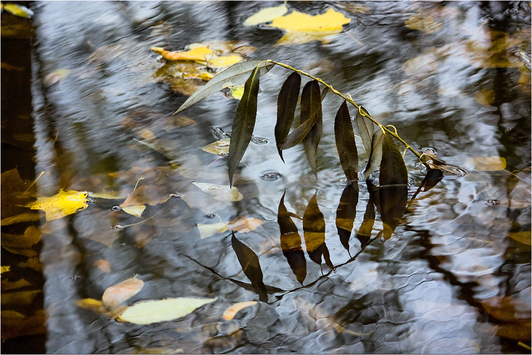 photo "***" tags: abstract, landscape, autumn, reflections, water