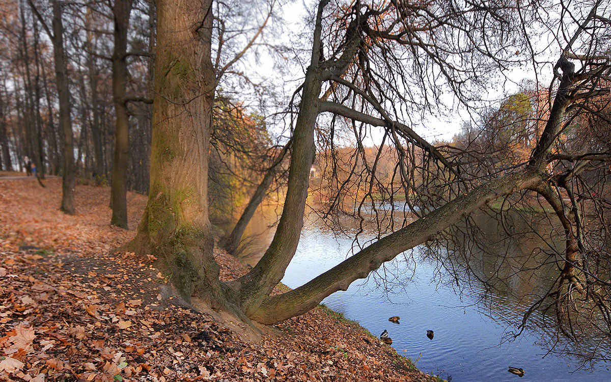 photo "Another Fall." tags: landscape, autumn, sunset