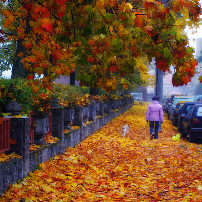 фото "***" метки: город, 