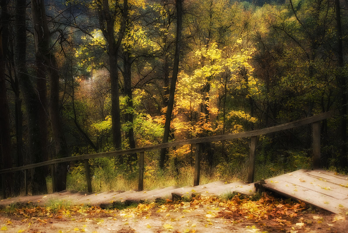 фото "Свечение" метки: пейзаж, осень