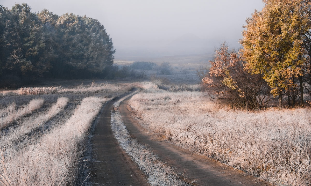 фото "Осенний иней" метки: пейзаж, осень