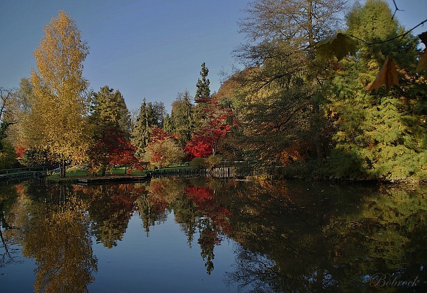 photo "jesen" tags: landscape, 
