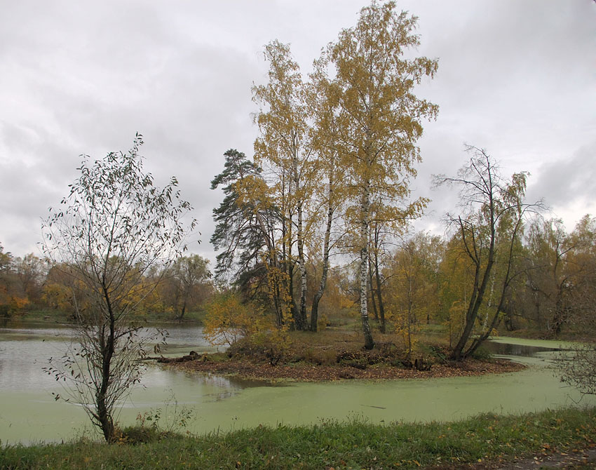 photo "***" tags: landscape, autumn, water