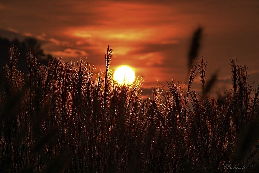 фото "zahod" метки: , 