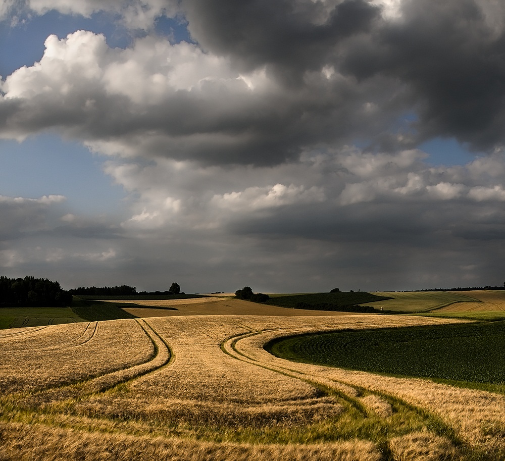 photo "***" tags: landscape, summer