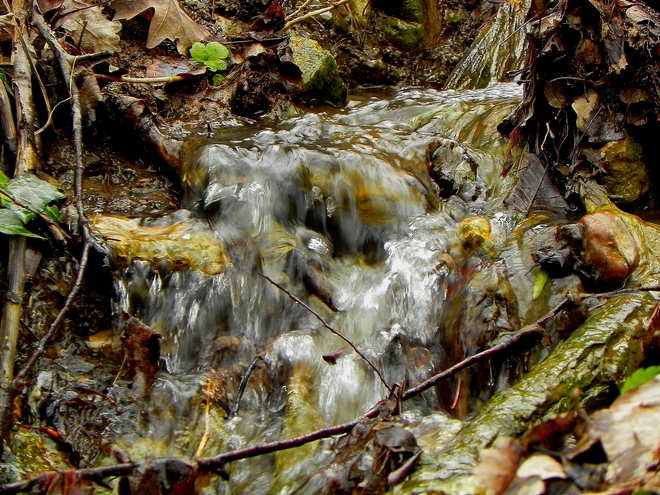 photo "***" tags: landscape, forest, water