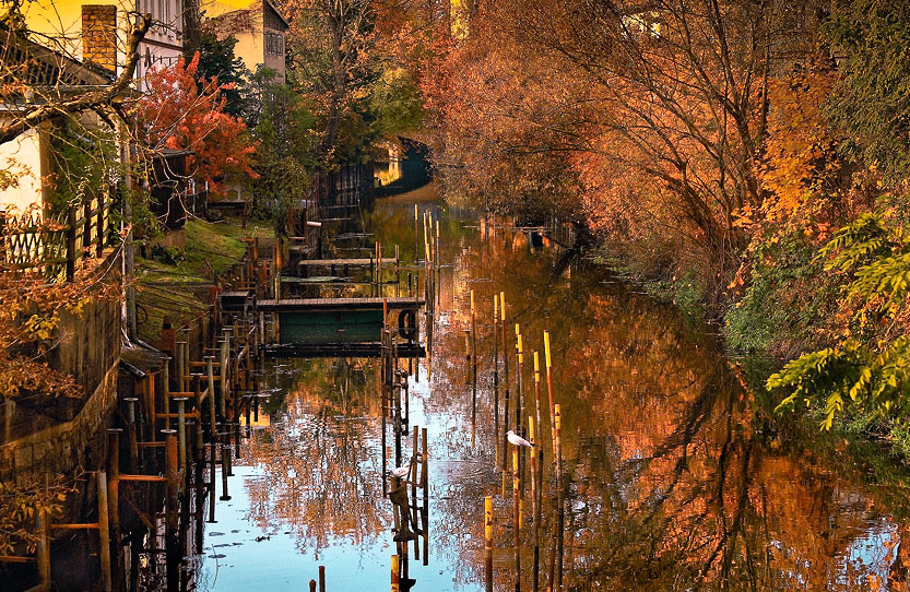 photo "***" tags: landscape, autumn, water