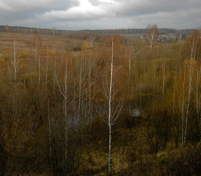 photo "***" tags: landscape, 